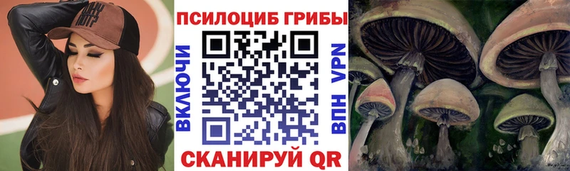 Псилоцибиновые грибы Psilocybine cubensis  купить  сайты  это как зайти  Онега 